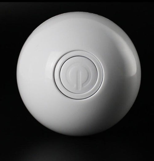ZoomLaser Interactive Cat Ball