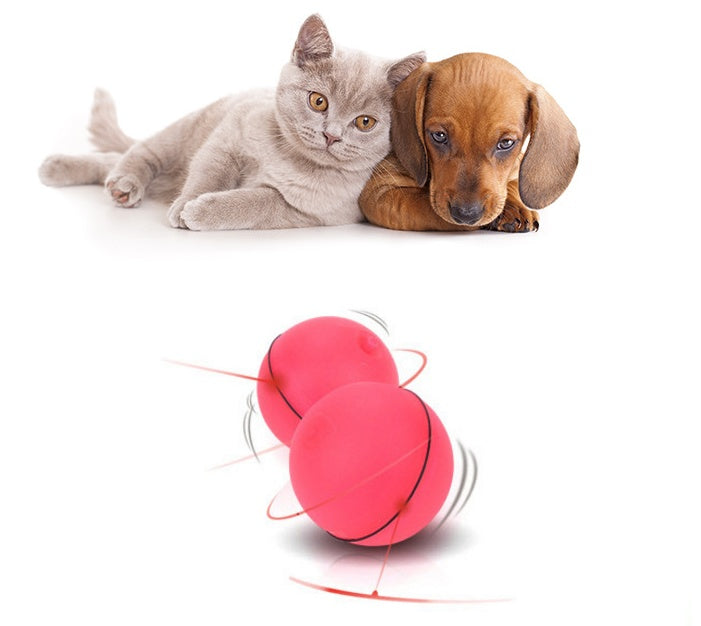 ZoomLaser Interactive Cat Ball