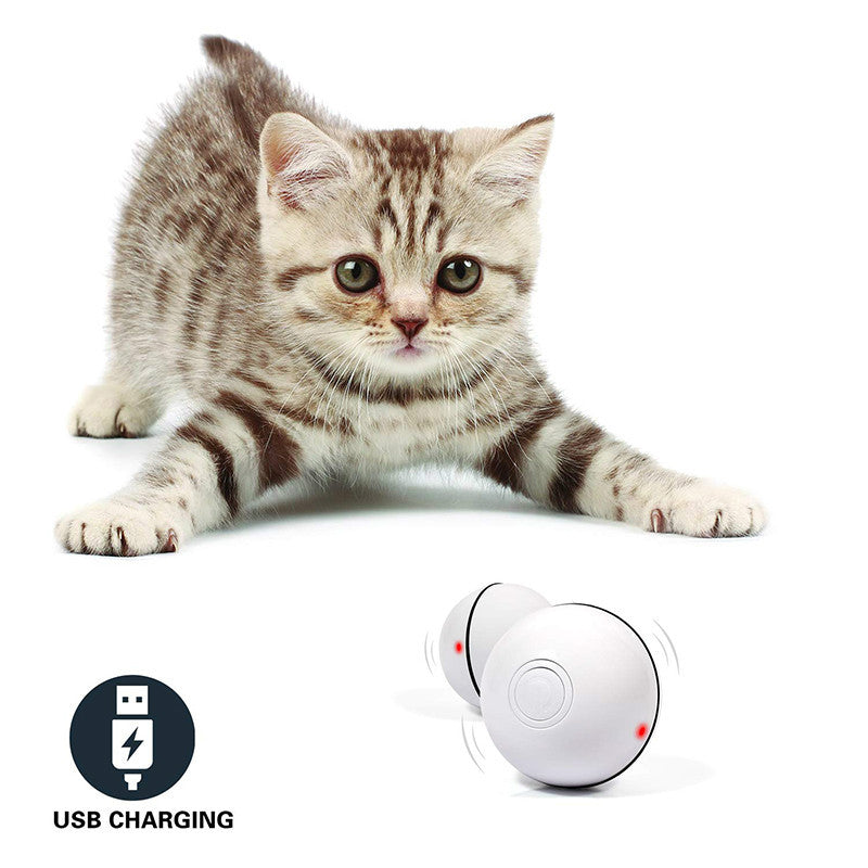 ZoomLaser Interactive Cat Ball