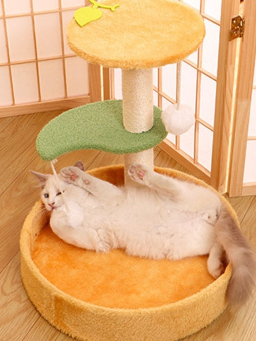 ScratchNest Cat Bed & Scratching Post