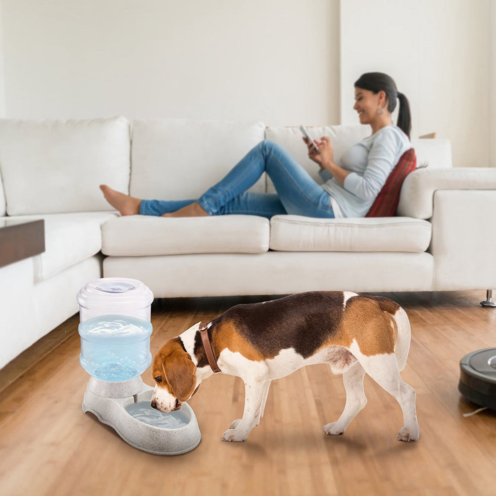 GravityFlow Pet Water Dispenser