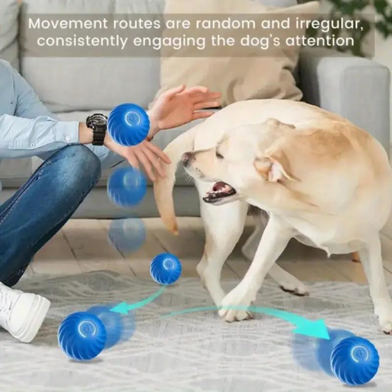 BouncePlay Interactive Pet Ball