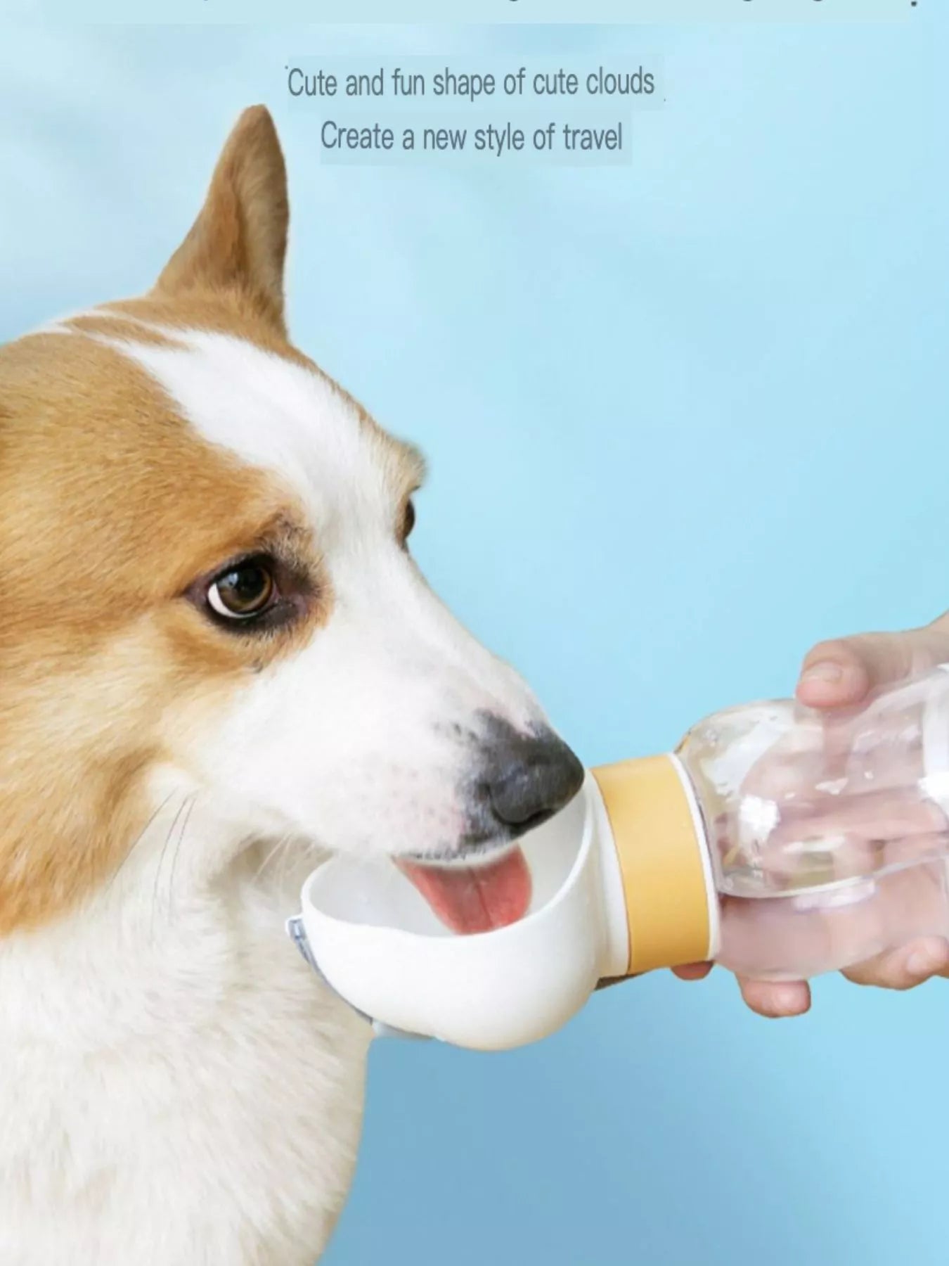 DuoSip Portable Pet Travel Bottle