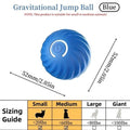 BouncePlay Interactive Pet Ball