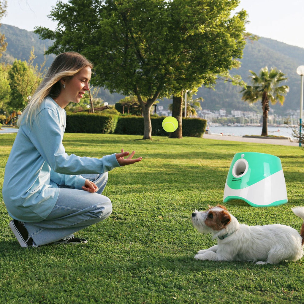 AutoFetch Interactive Ball Launcher
