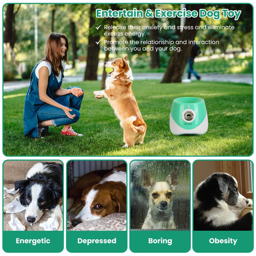 AutoFetch Interactive Ball Launcher
