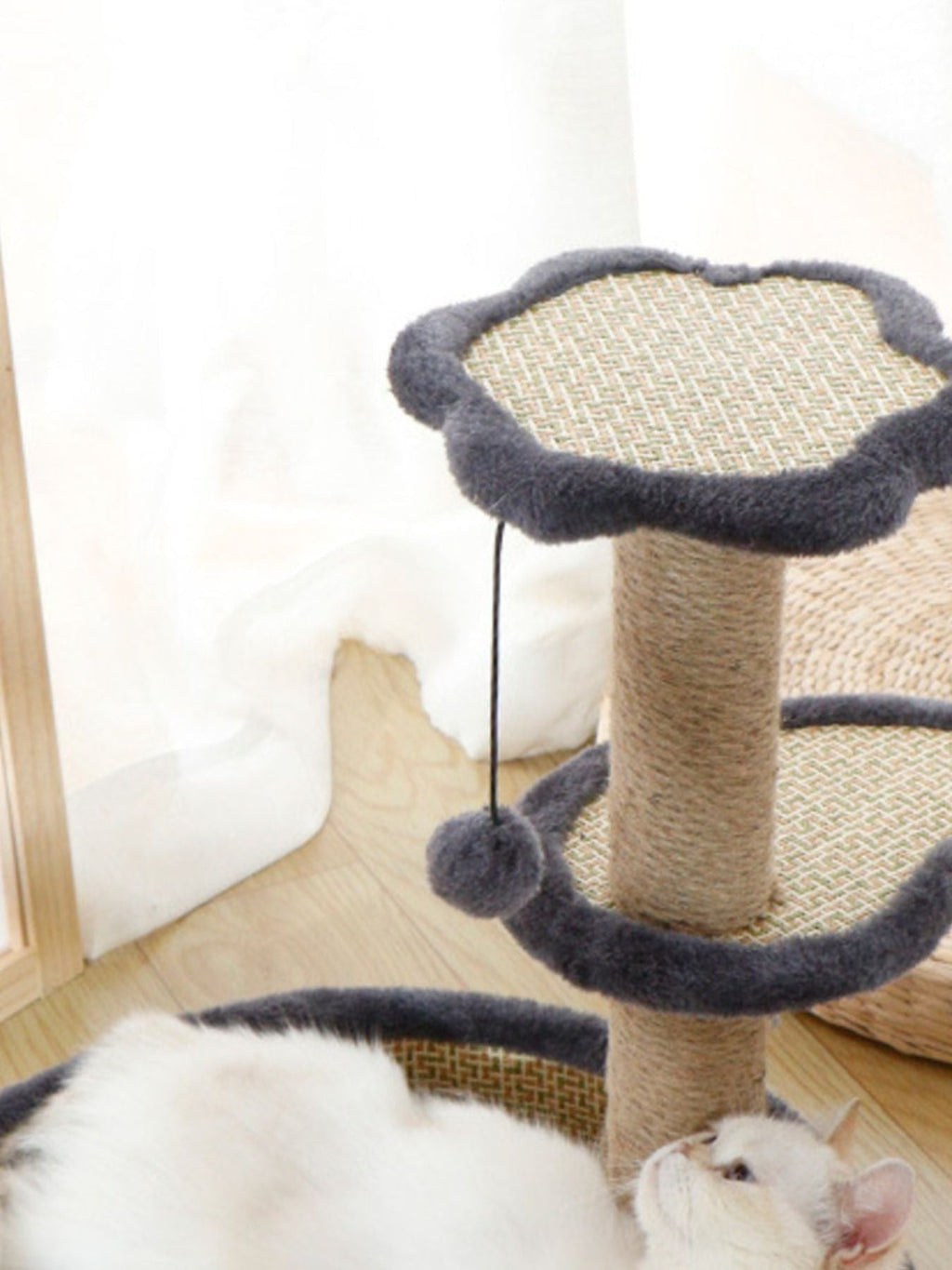 ScratchNest Cat Bed & Scratching Post
