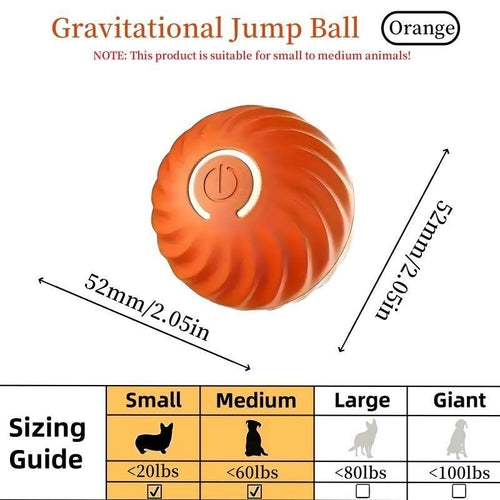 BouncePlay Interactive Pet Ball